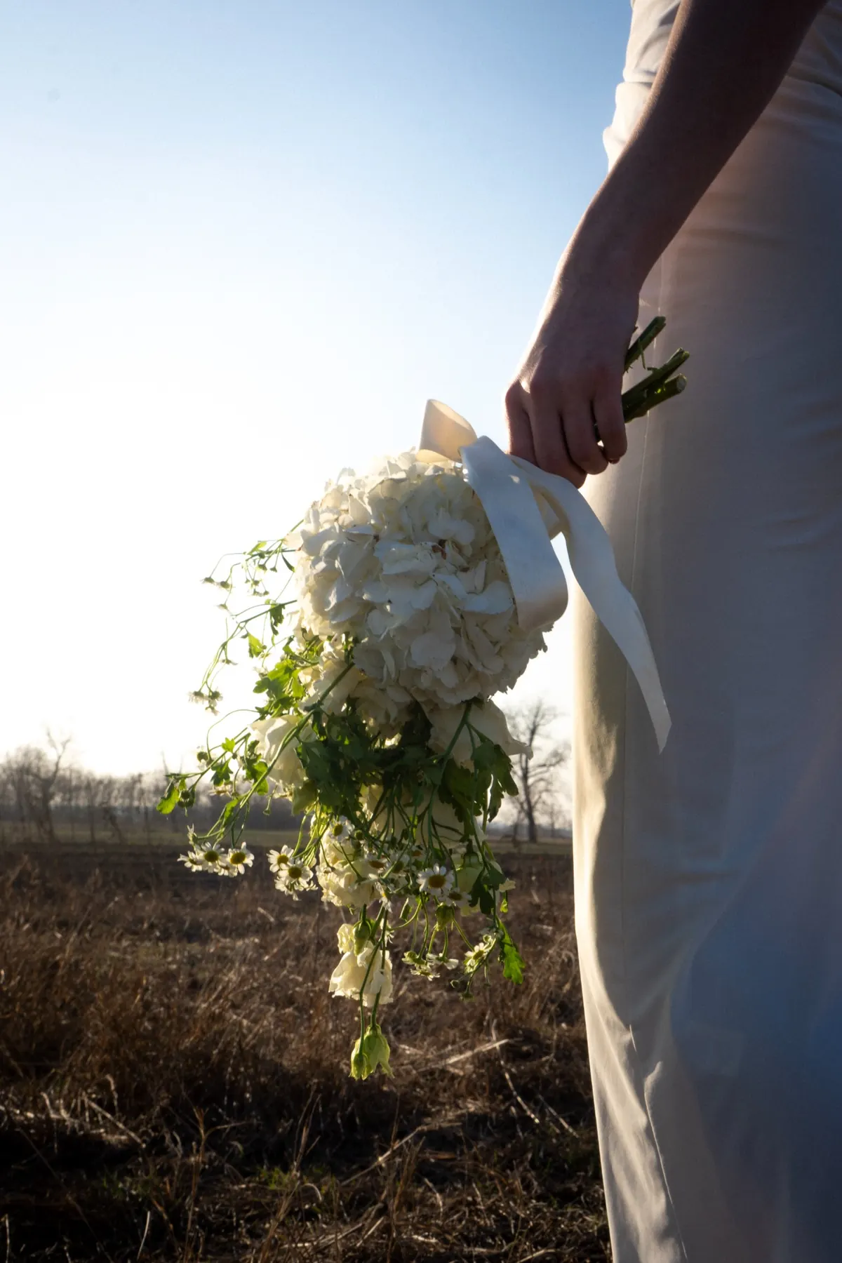 Selene fehér menyasszonyi csokor hortenziával, liziantusszal és kamillával menyasszony kezében, naplementés fényben