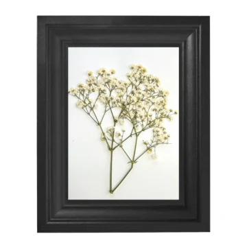 Préselt fátyolvirág keretben